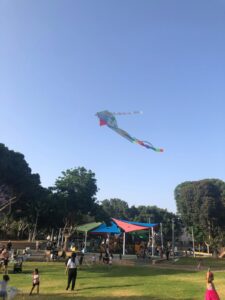 Еще один способ праздновать: экологически чистый праздник Лаг ба-Омер