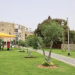 441518891_1016732233142728_5922994268059183495_n (1)