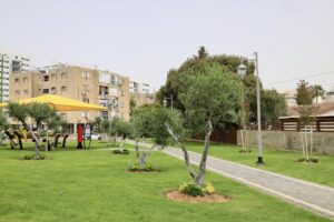 Старый и пустынный общественный участок превратился в зеленую и оживленную зону отдыха.