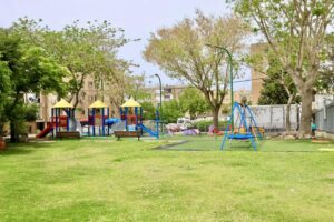 Старый и пустынный общественный участок превратился в зеленую и оживленную зону отдыха.