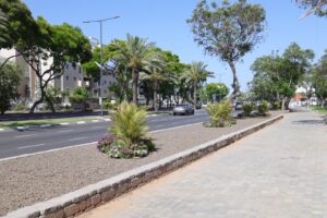 Два километра зеленого бульвара, окутанного тенью и цветами.