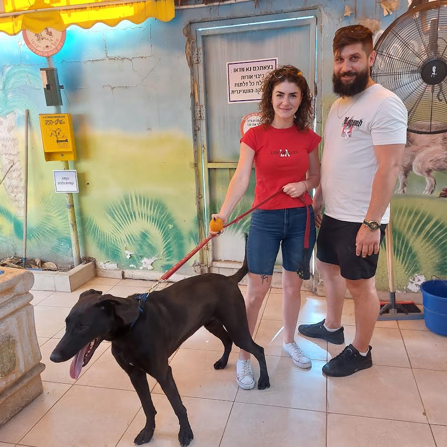 Программа "Собачьи друзья".