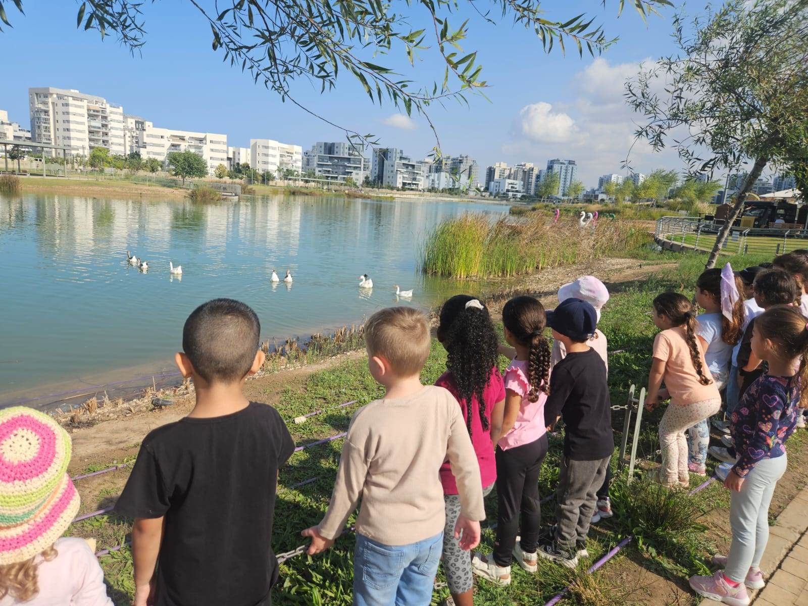 Единение с природой : "Зеленые клубы" в Ашкелоне Единение с природой : "Зеленые клубы" в Ашкелоне